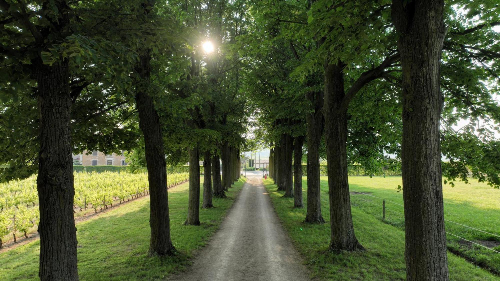 Domaine De Montclair Bed & Breakfast Pommiers  Bagian luar foto