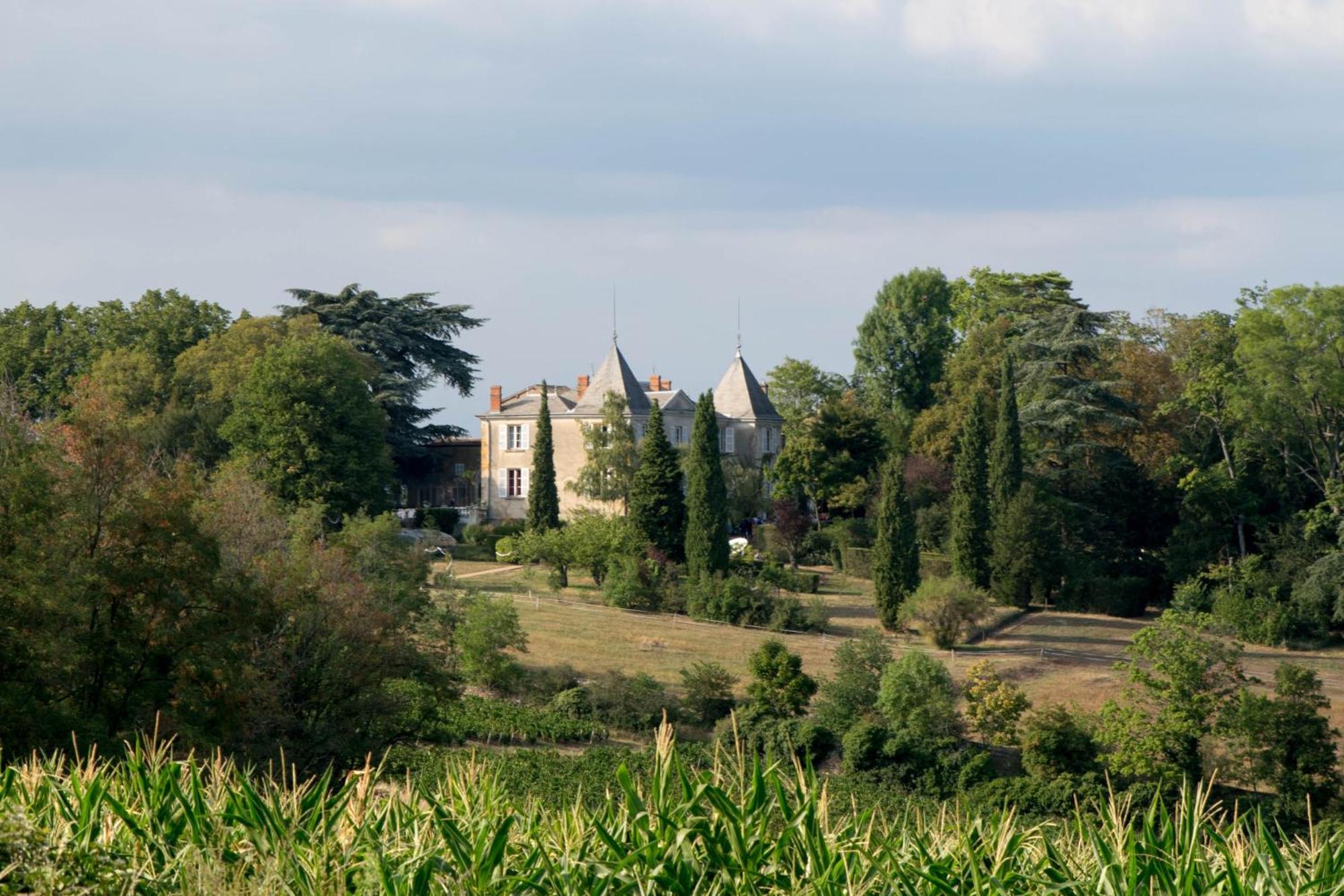 Domaine De Montclair Bed & Breakfast Pommiers  Bagian luar foto
